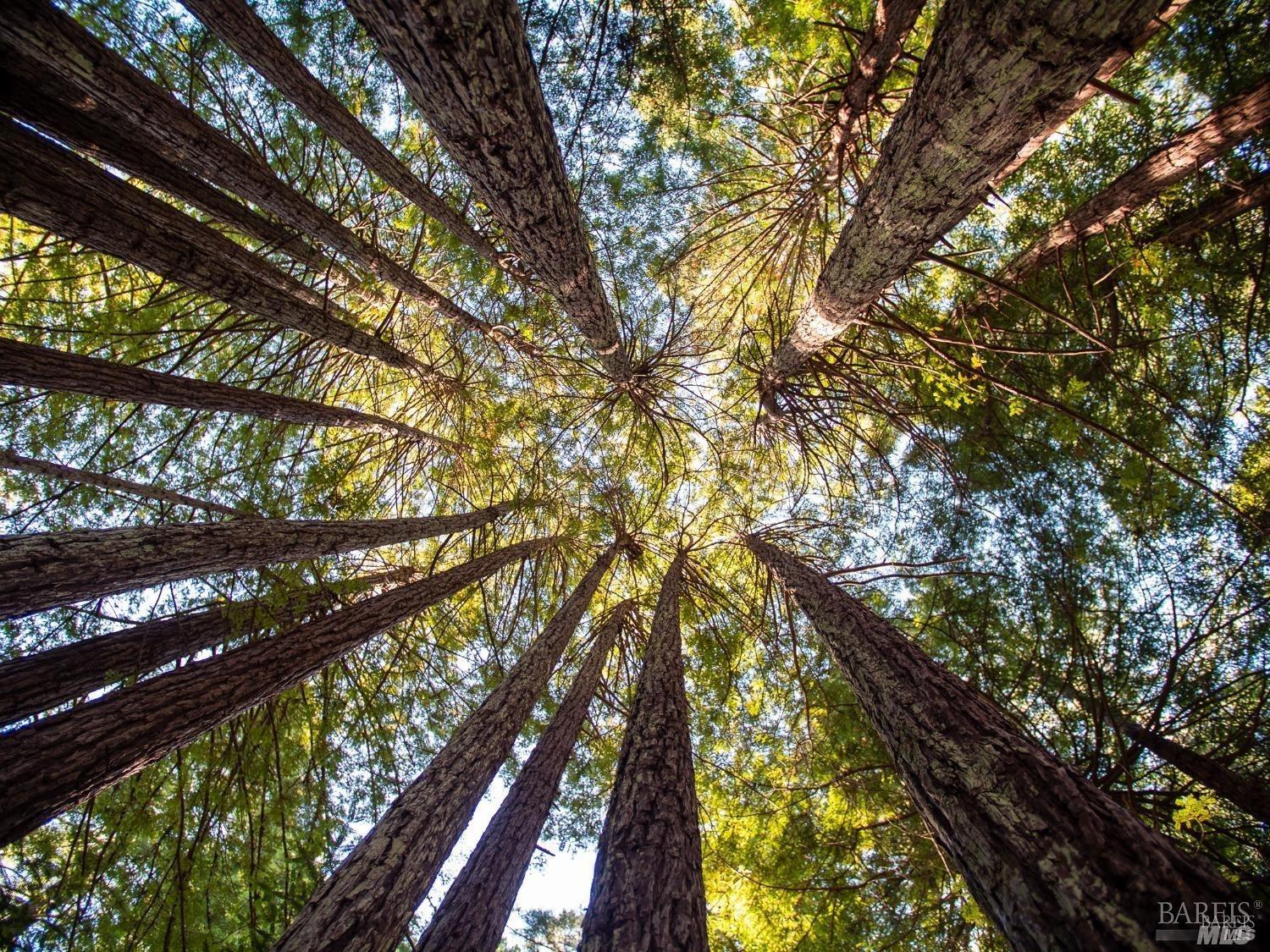 46990 Getchell Gulch Road