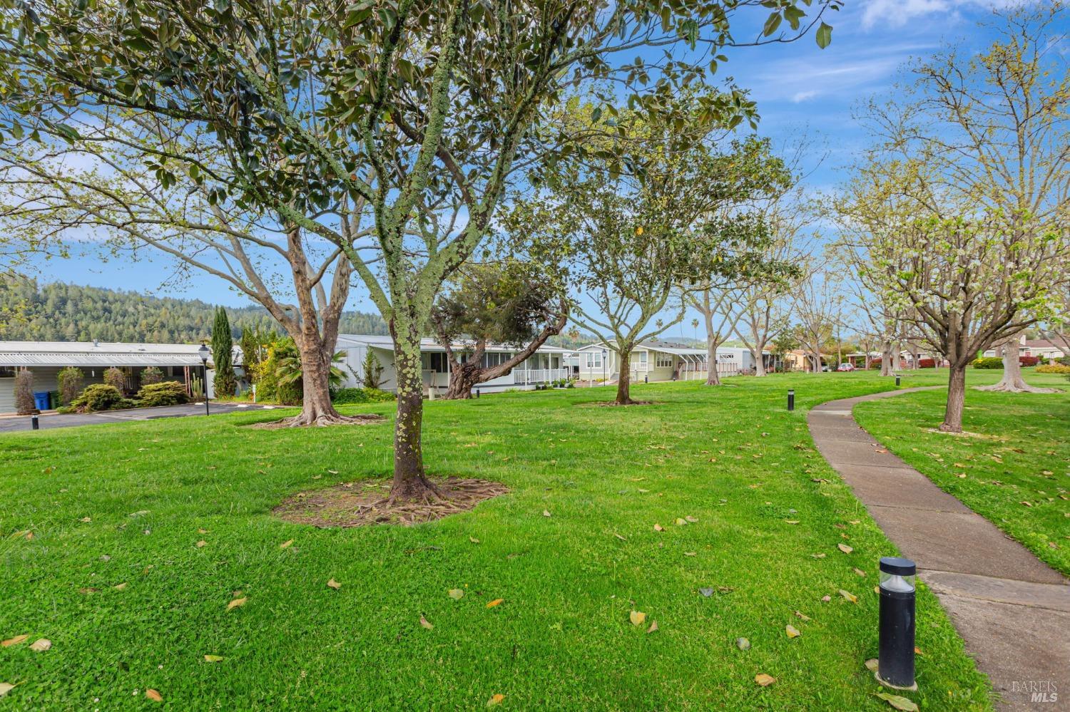 516 Sherry N St #244