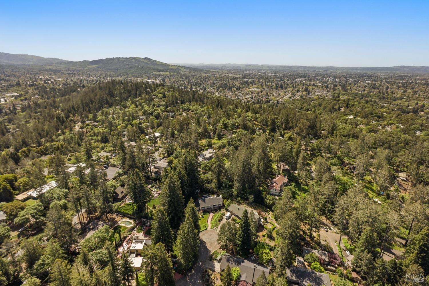 4284 Woodland Shadows Pl