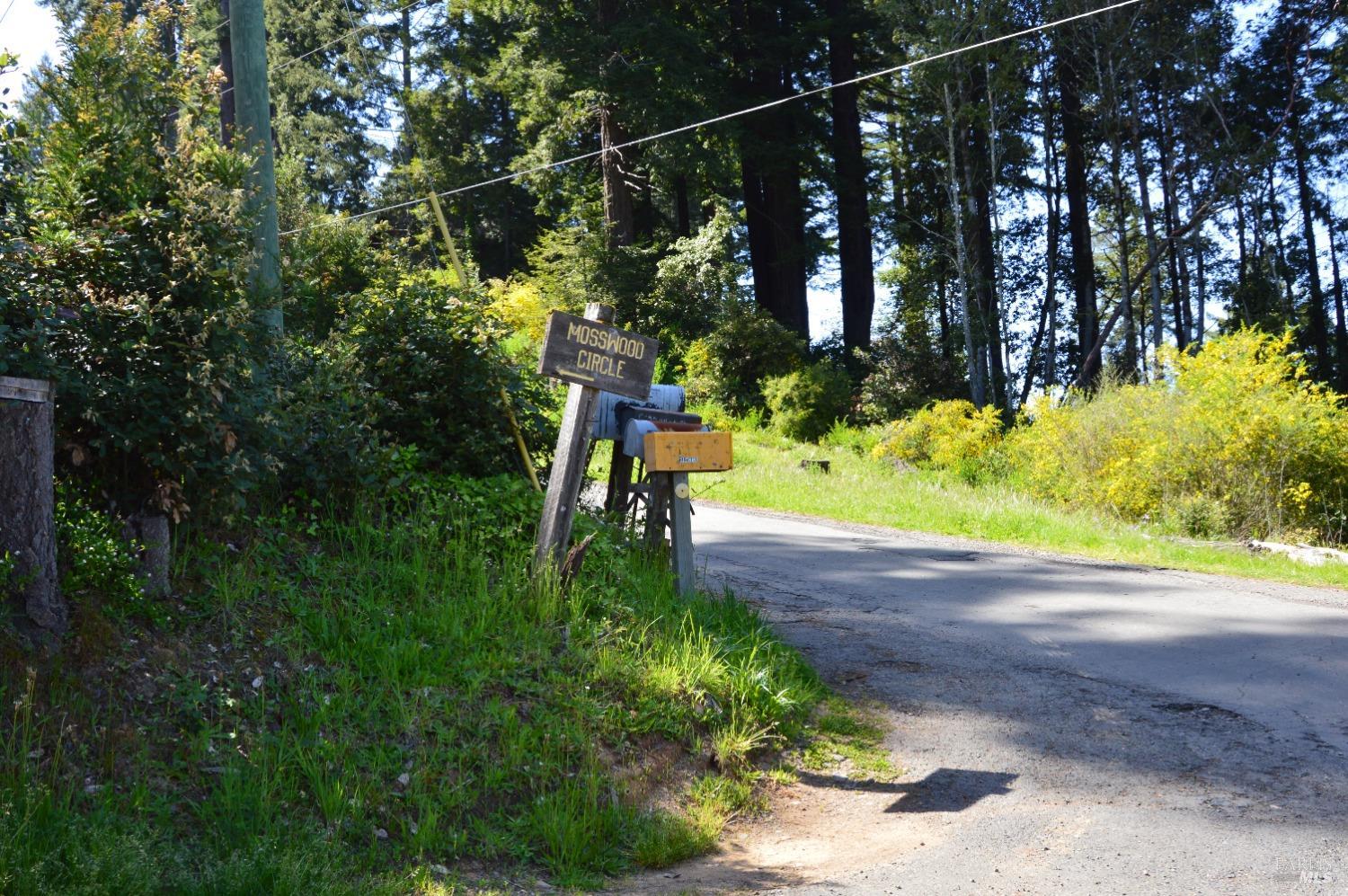 3 Mosswood Cir