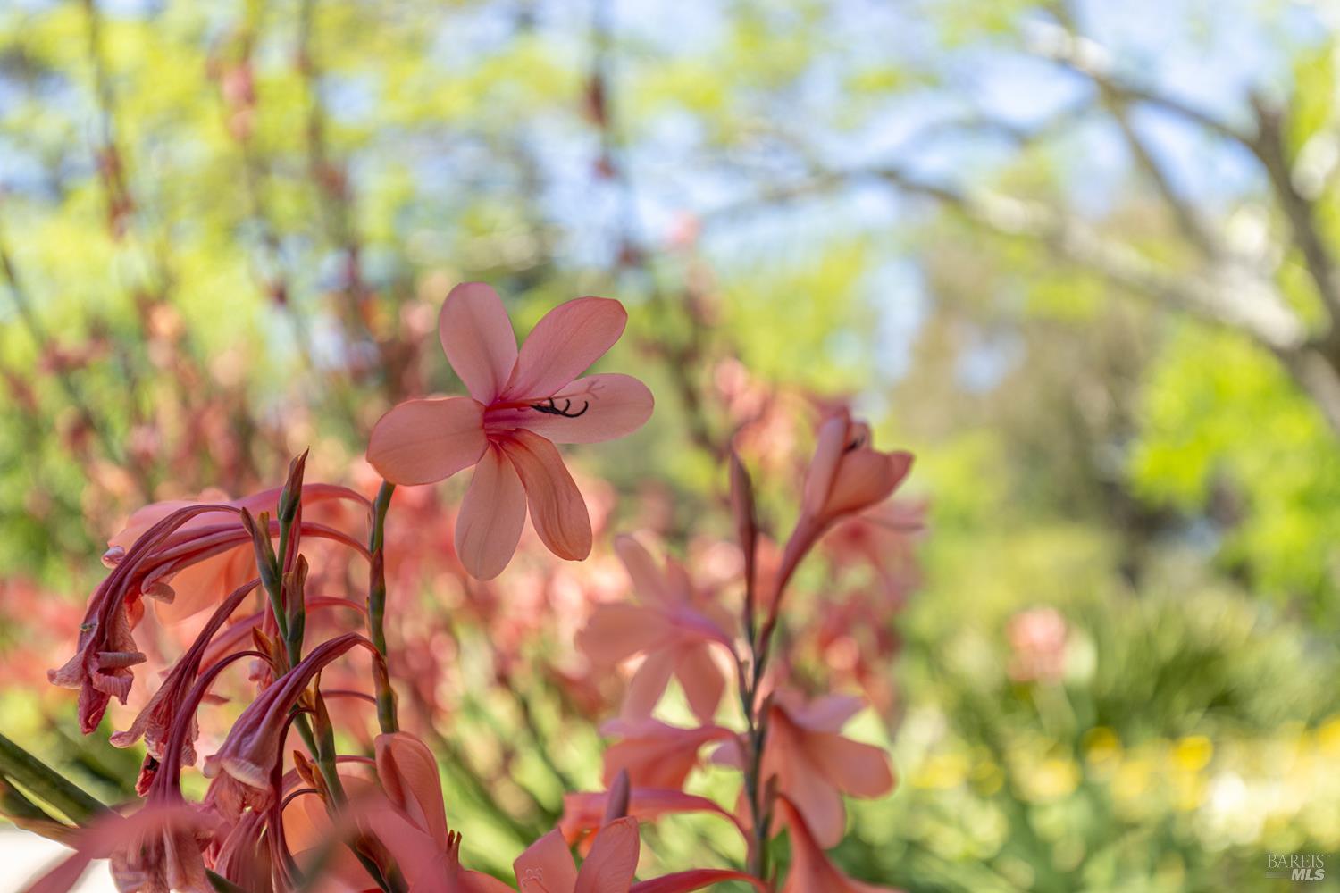 1643-1653 Furlong Rd