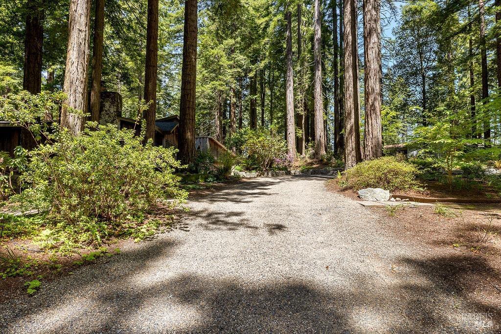 17090 Fitzpatrick Ln