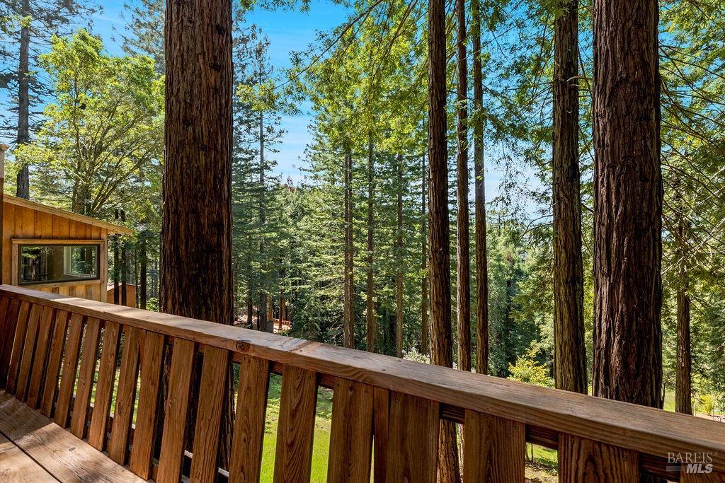 17090 Fitzpatrick Ln