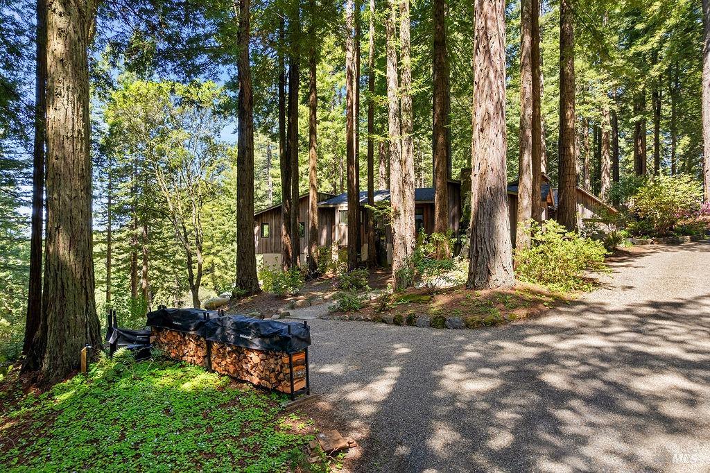 17090 Fitzpatrick Ln