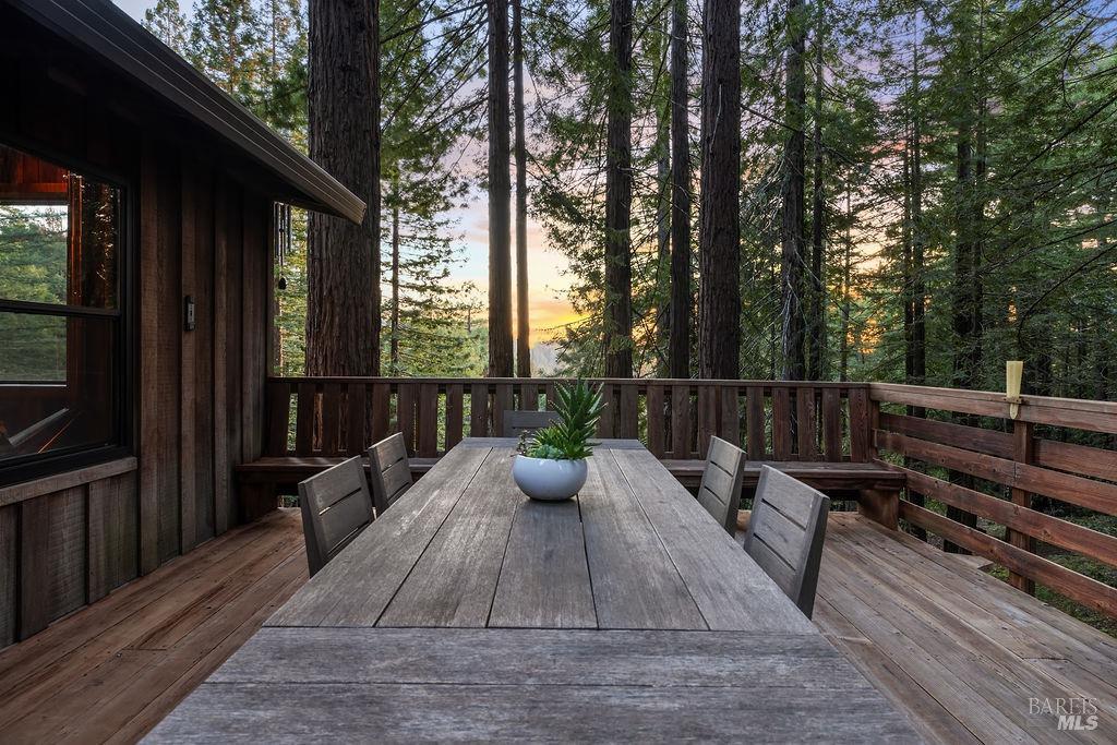 17090 Fitzpatrick Ln