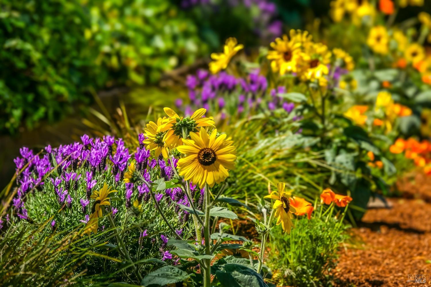 453 Alameda De La Loma