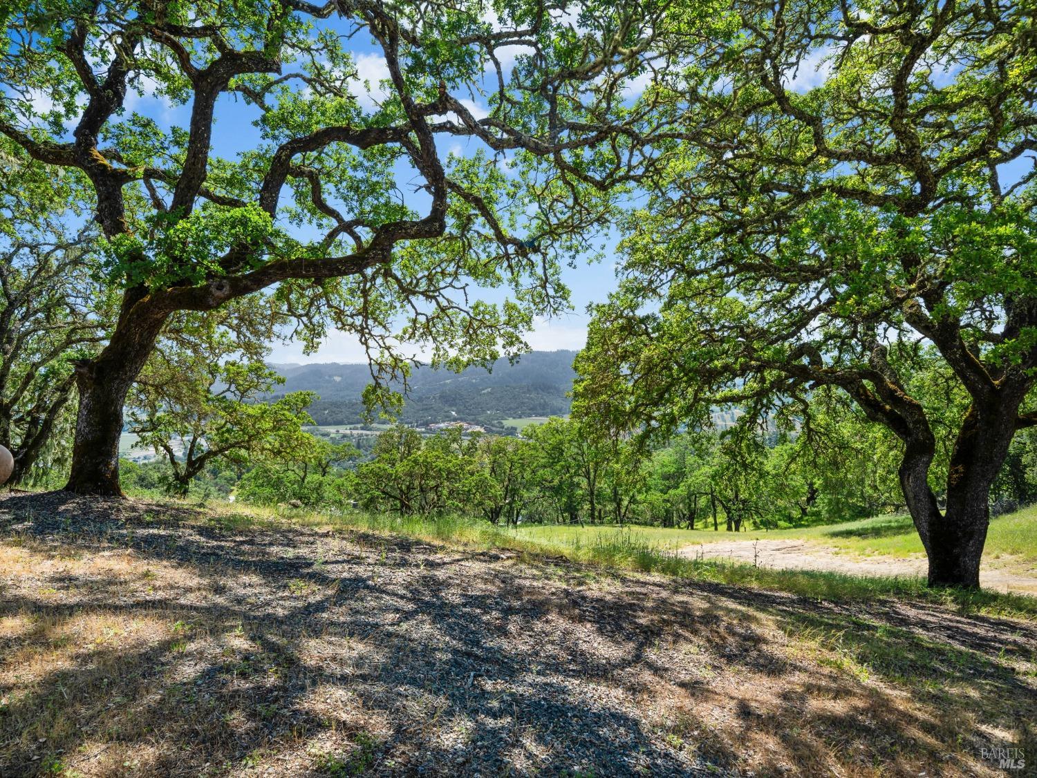 31300 Pine Mountain Road