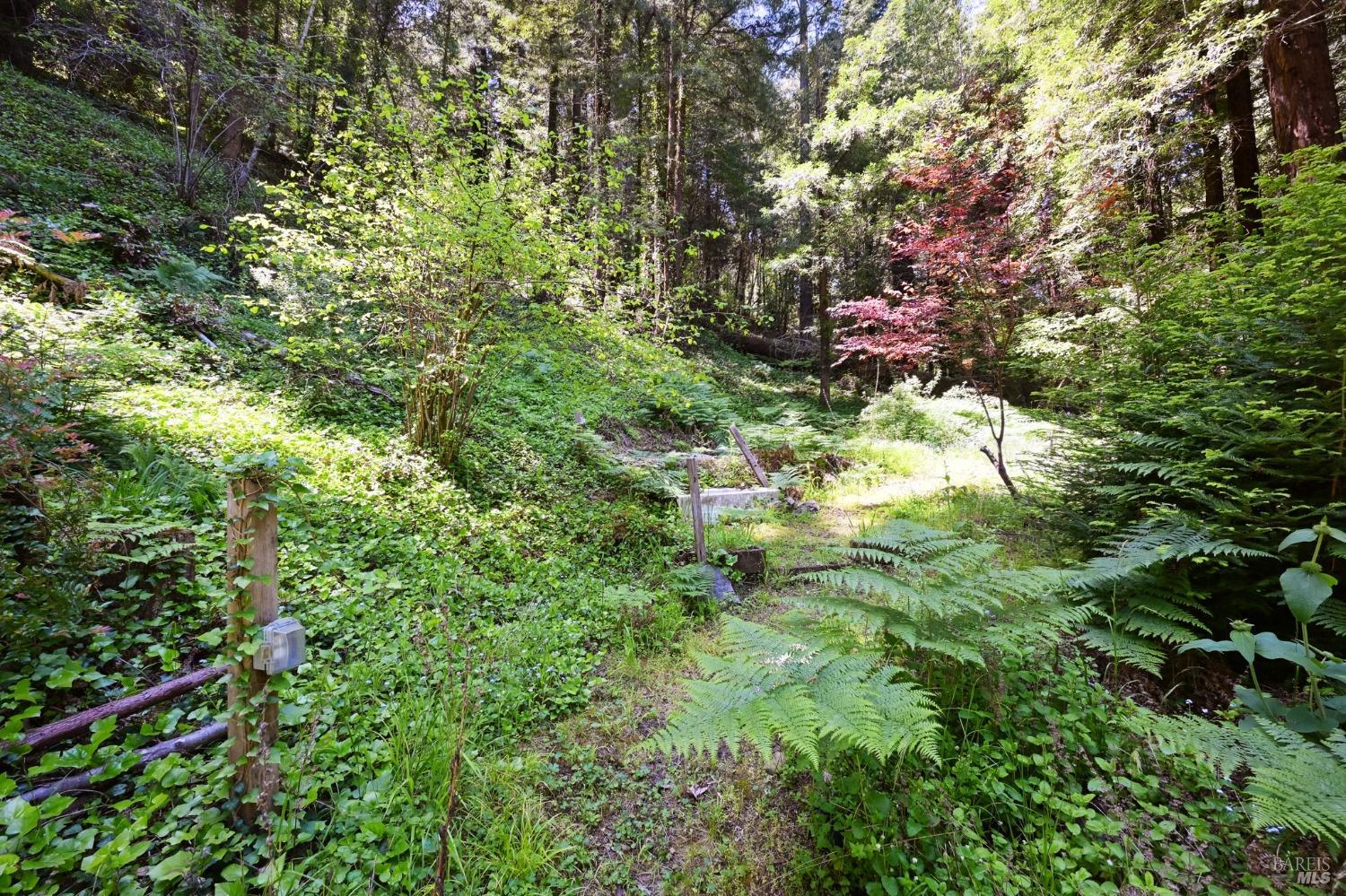 21713 Starrett Hill Dr