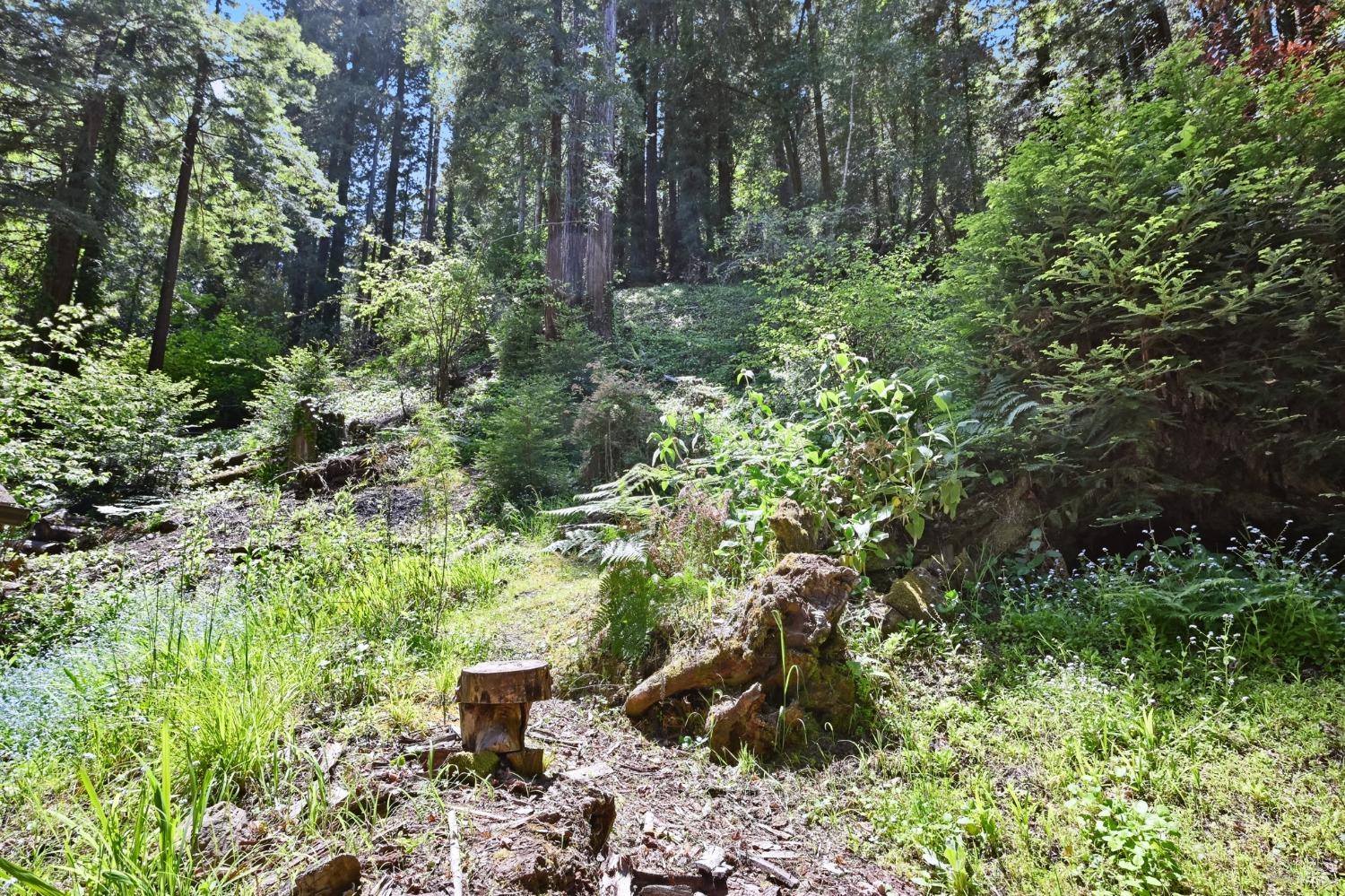 21713 Starrett Hill Dr