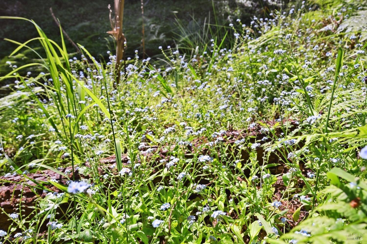 21713 Starrett Hill Dr