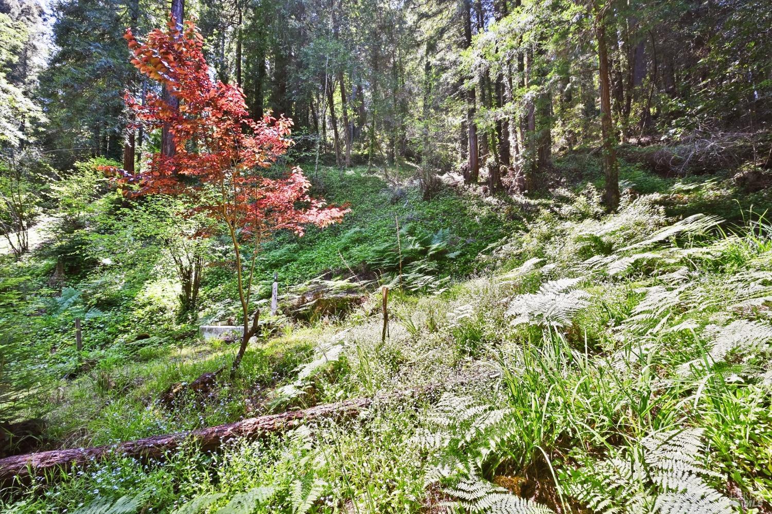 21713 Starrett Hill Dr