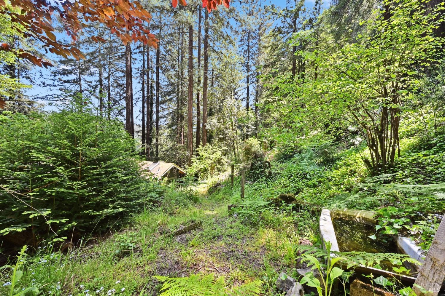 21713 Starrett Hill Dr