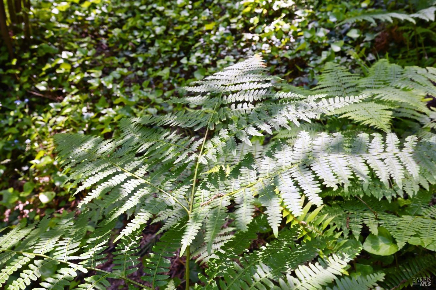 21713 Starrett Hill Dr