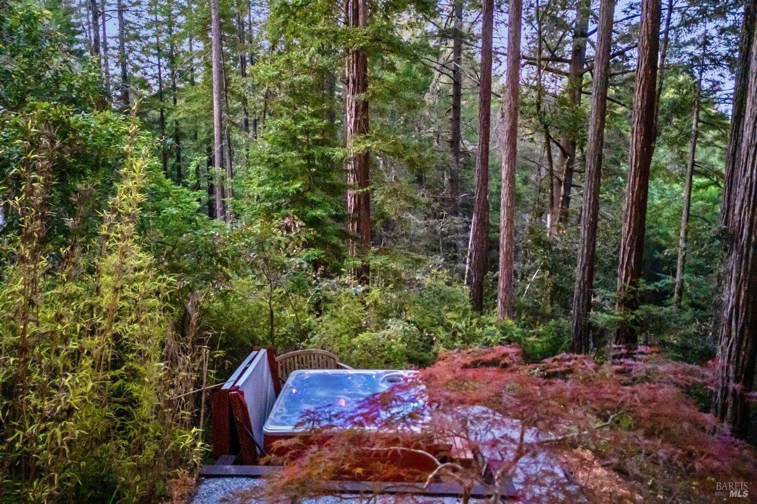 18333 Old Monte Rio Rd