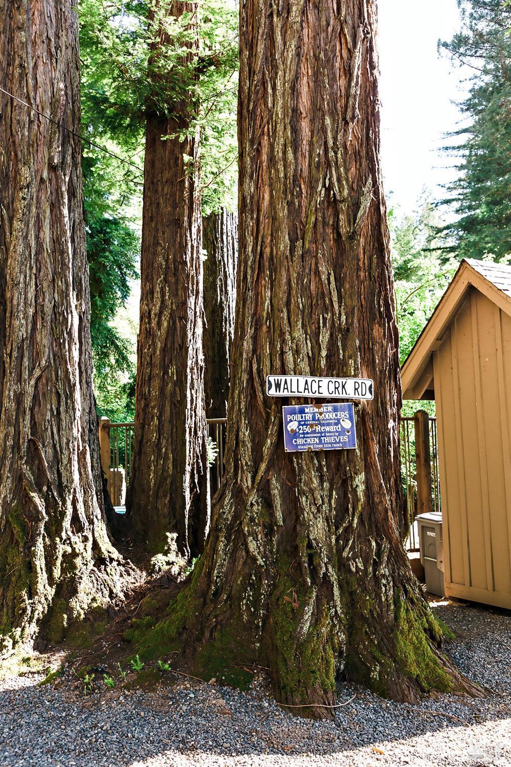 2859 Wallace Creek Rd