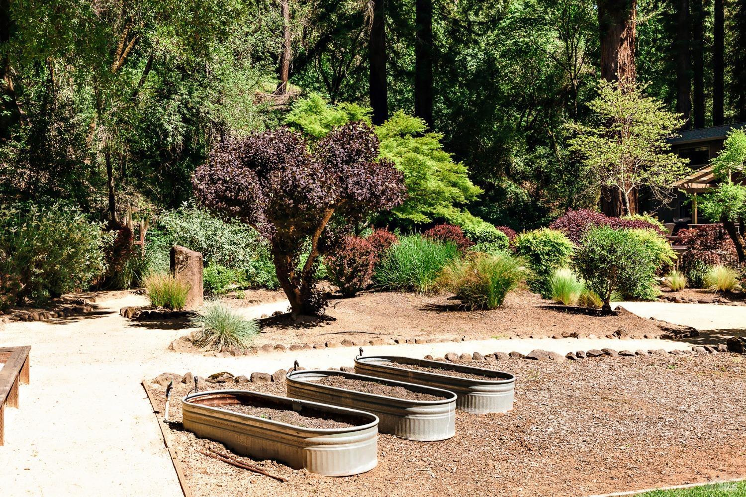 2859 Wallace Creek Rd