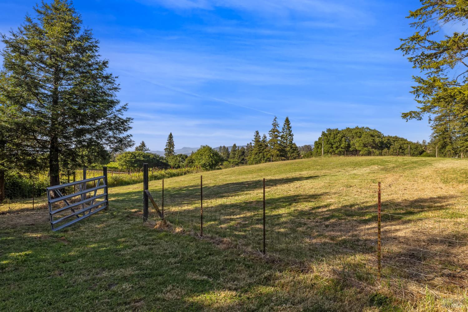 1187 Debbie Hill Road