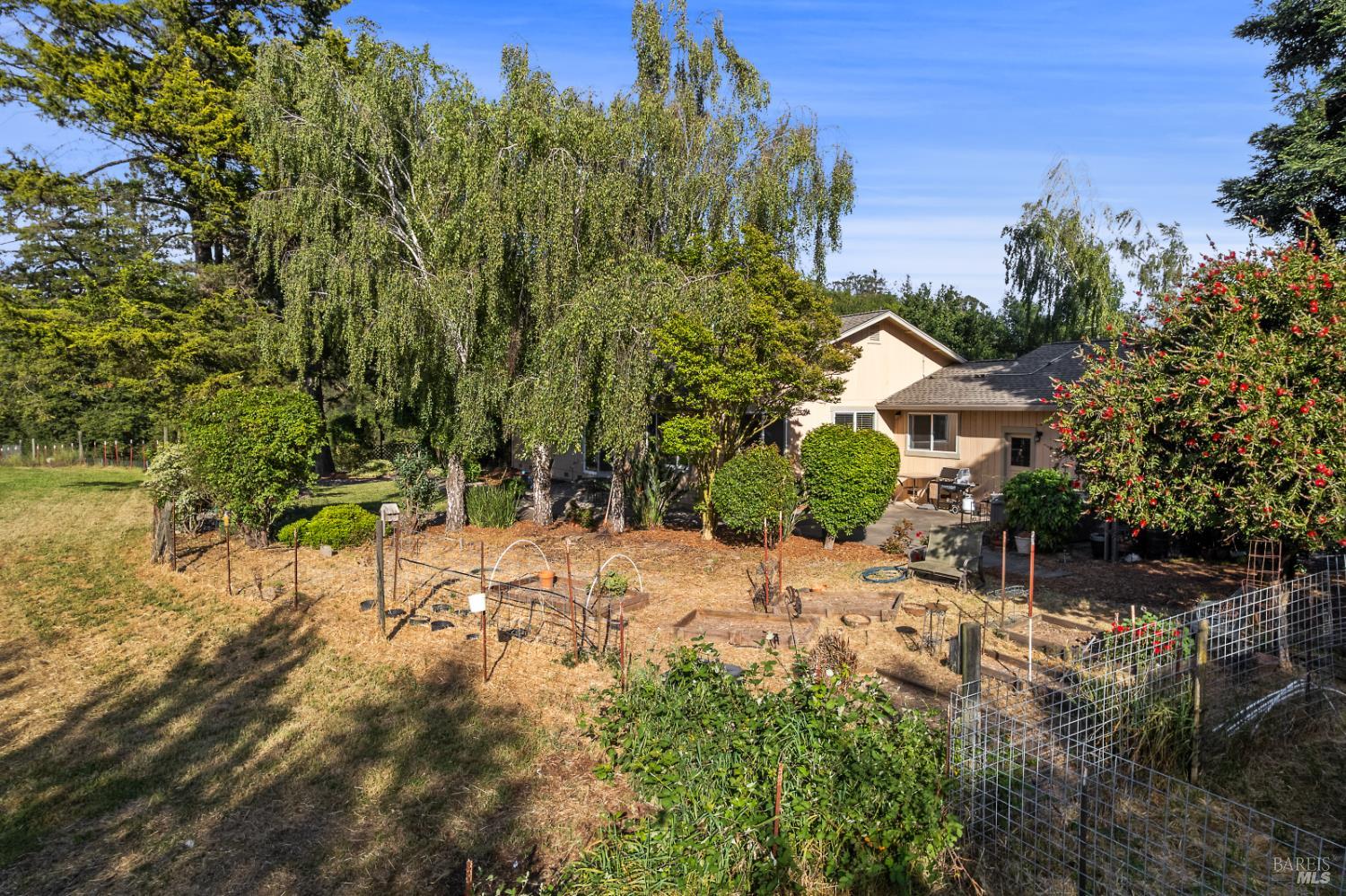 1187 Debbie Hill Road