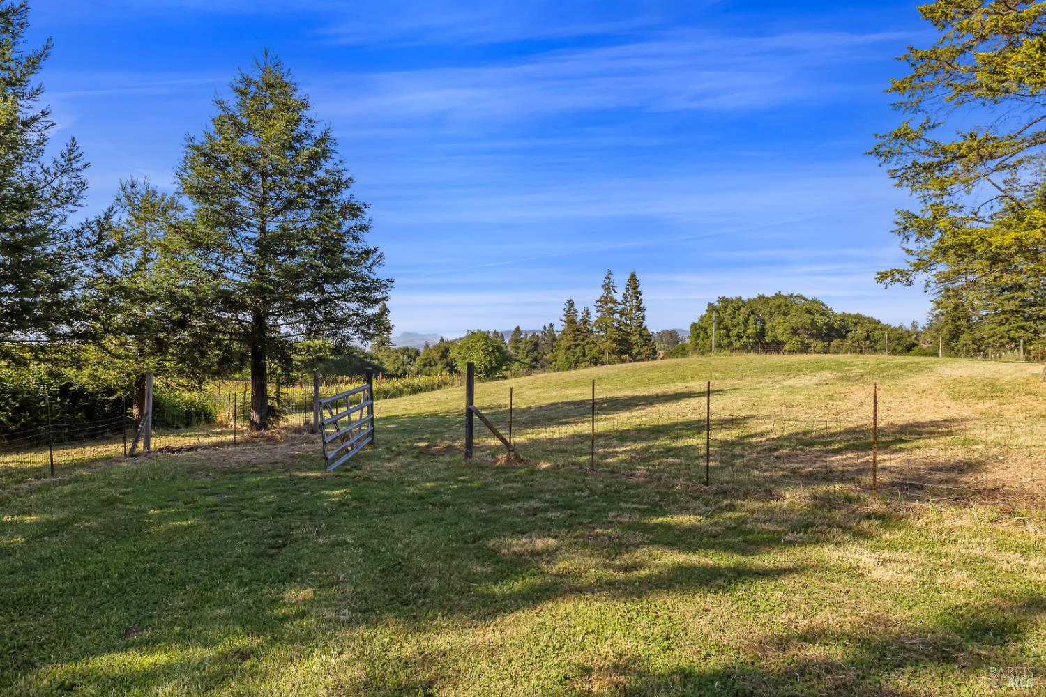 1187 Debbie Hill Road