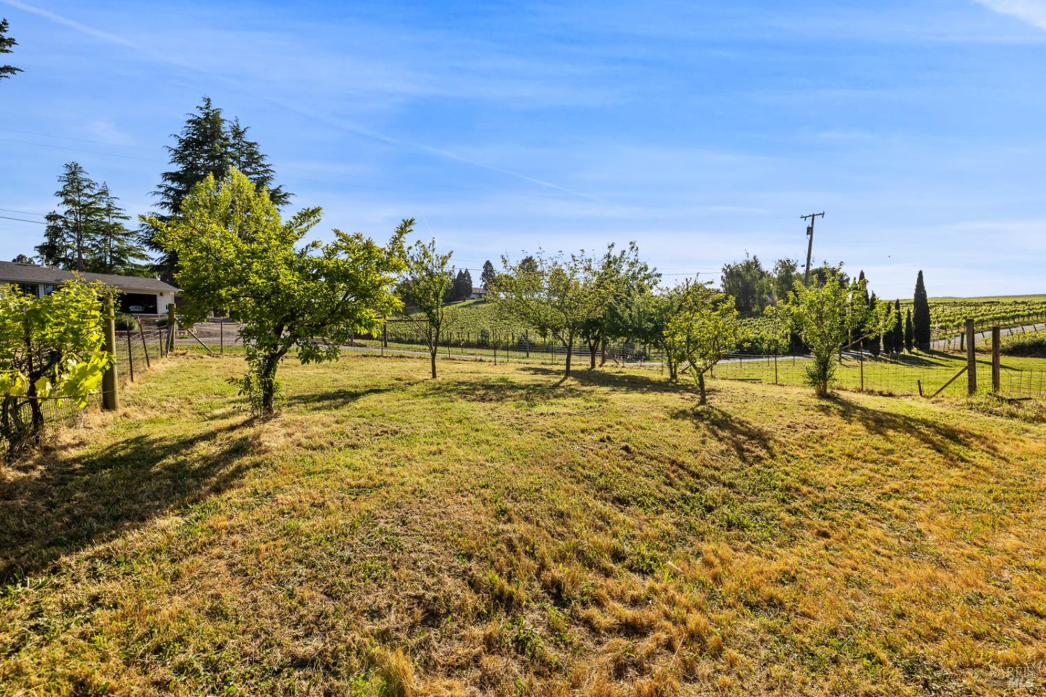 1187 Debbie Hill Road