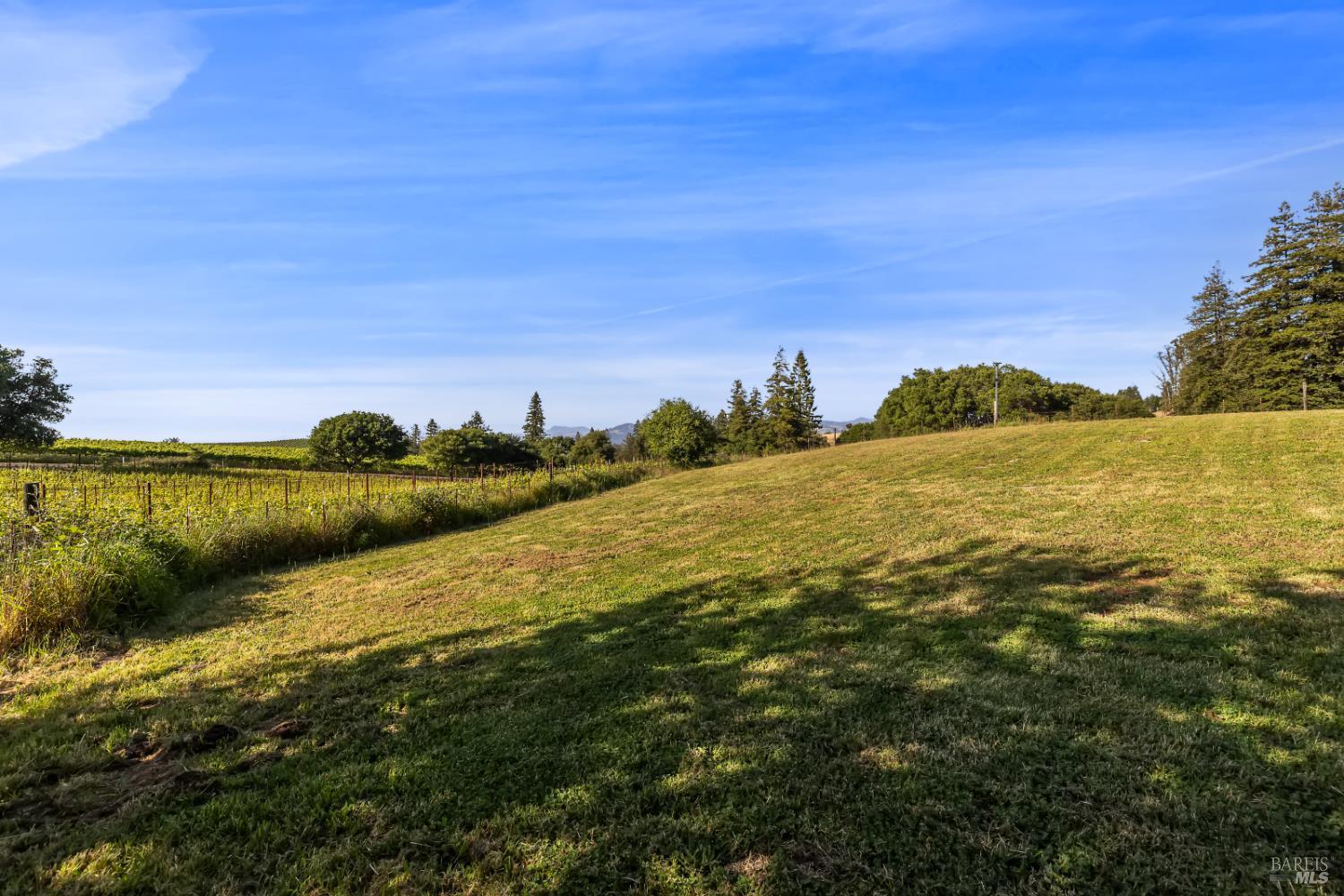 1187 Debbie Hill Road