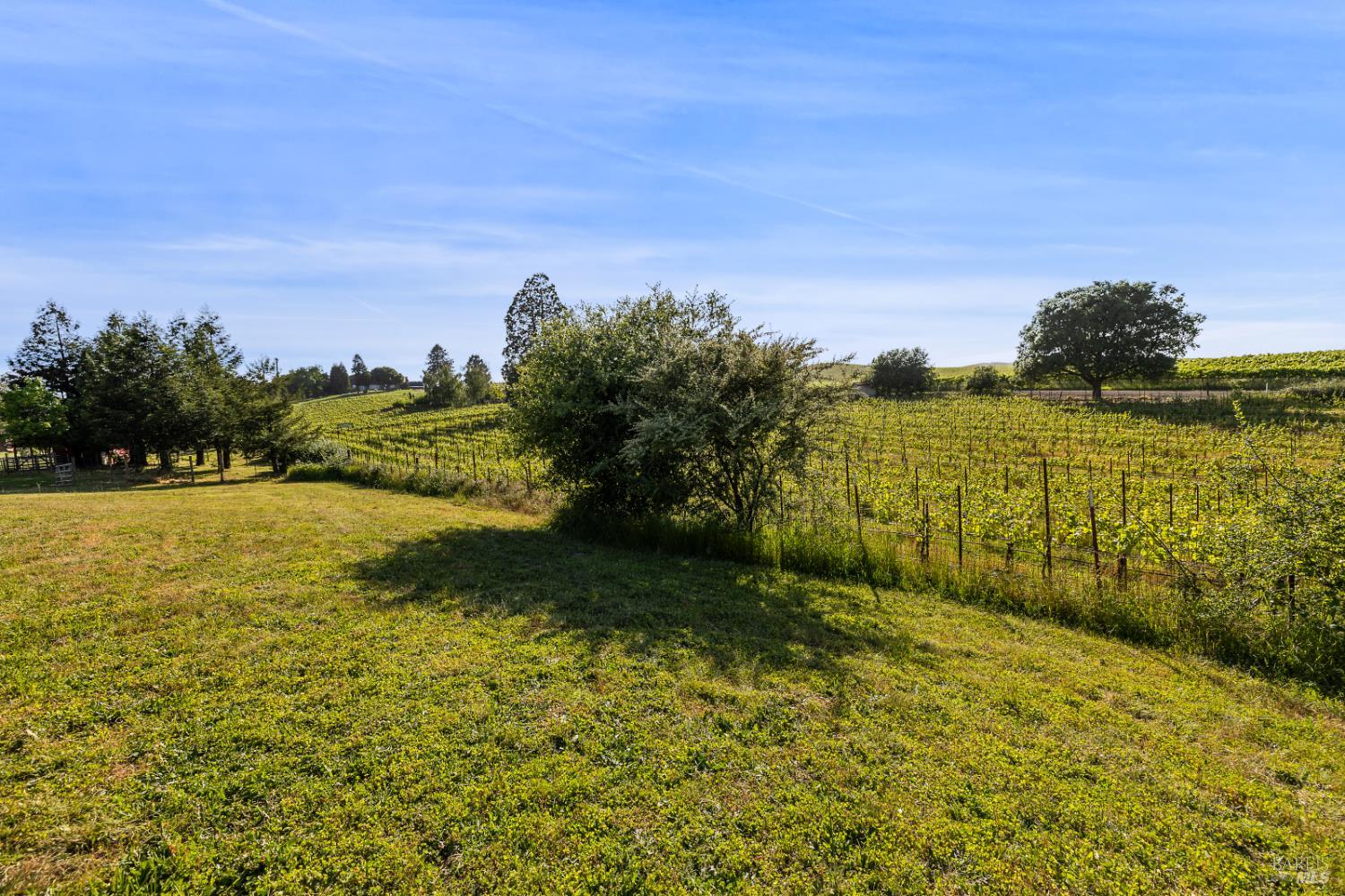 1187 Debbie Hill Road