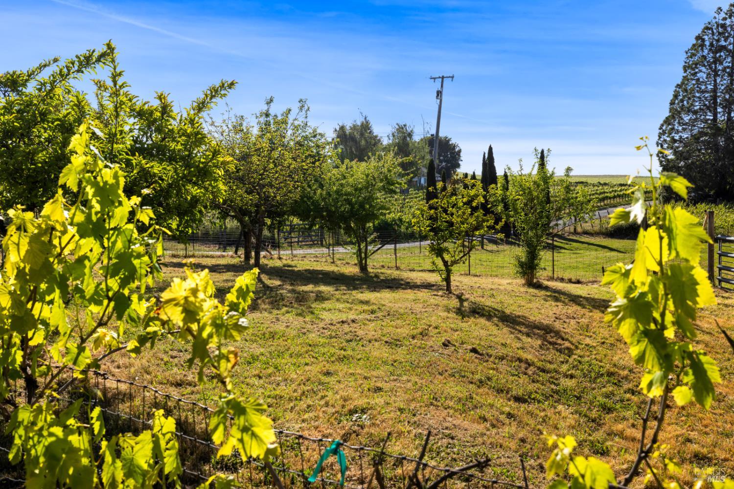 1187 Debbie Hill Road