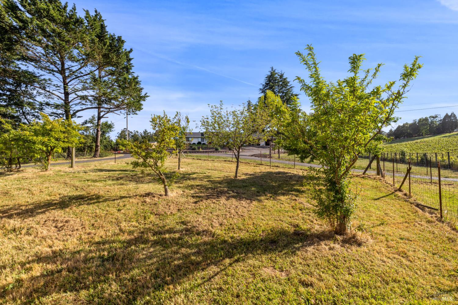 1187 Debbie Hill Road