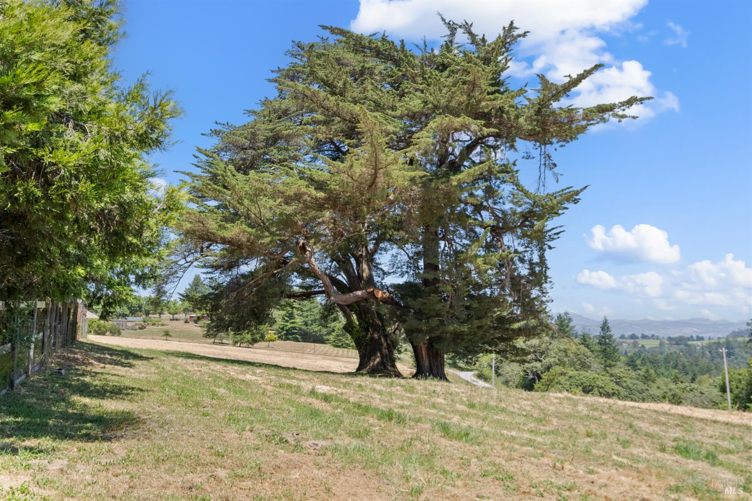 10700 Barnett Valley Road