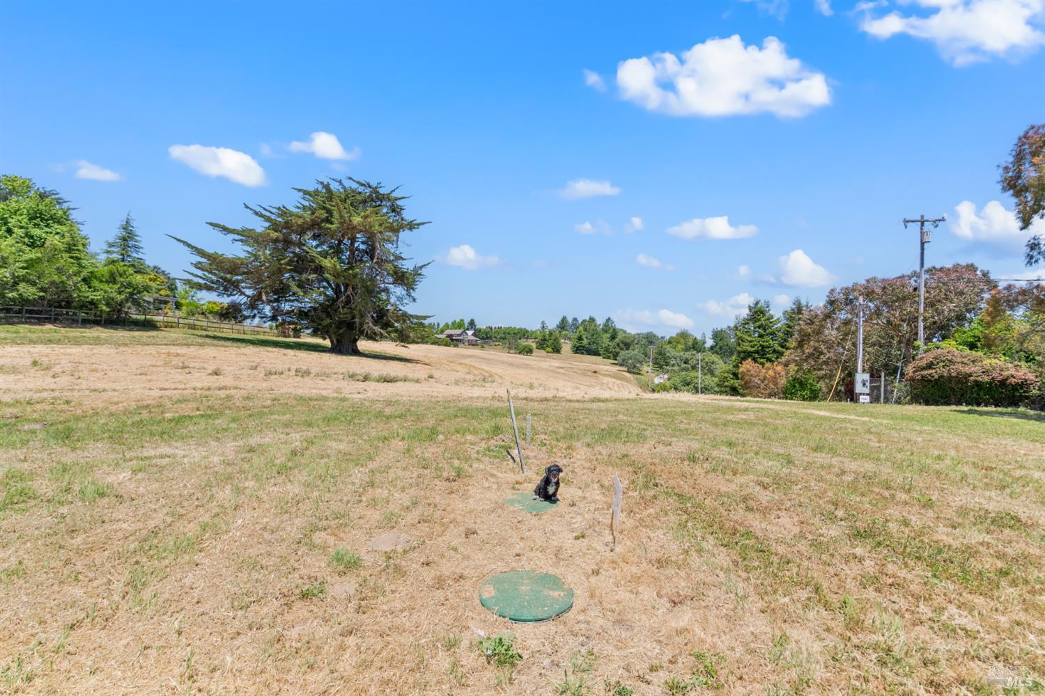 10700 Barnett Valley Road