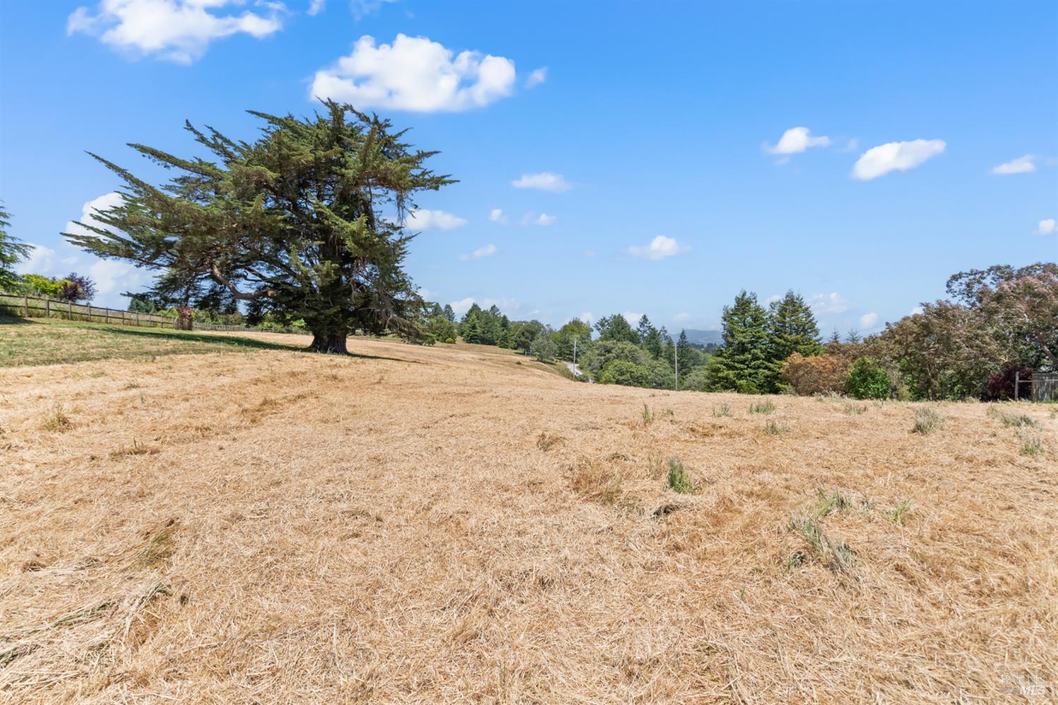 10700 Barnett Valley Road