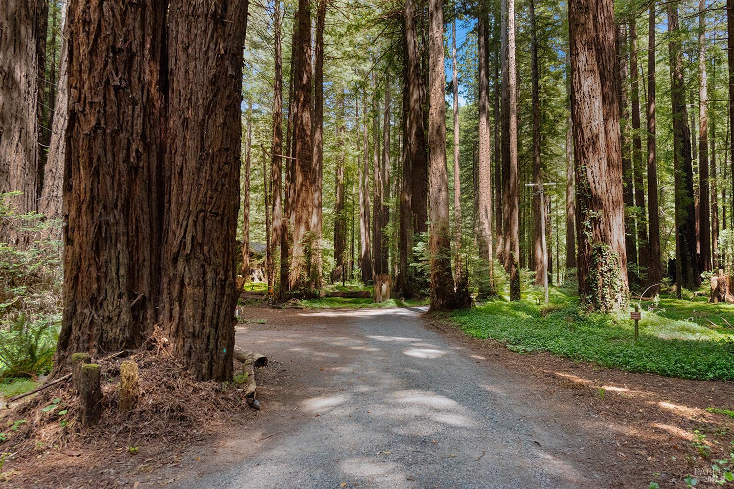2045 Cazadero Hwy