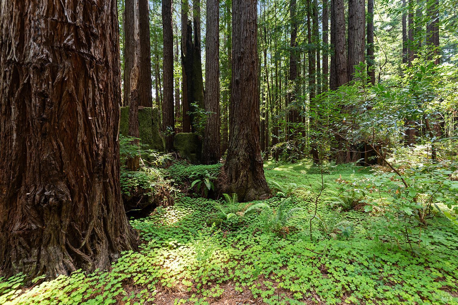 2045 Cazadero Hwy
