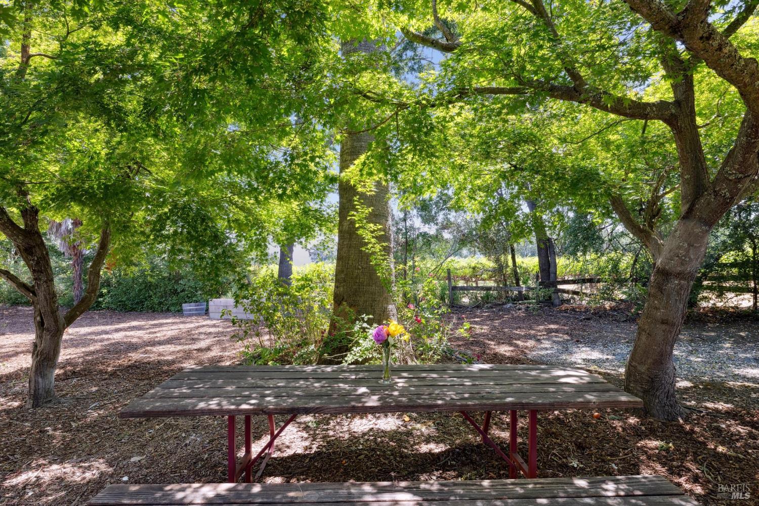 7738 Saint Helena Hwy