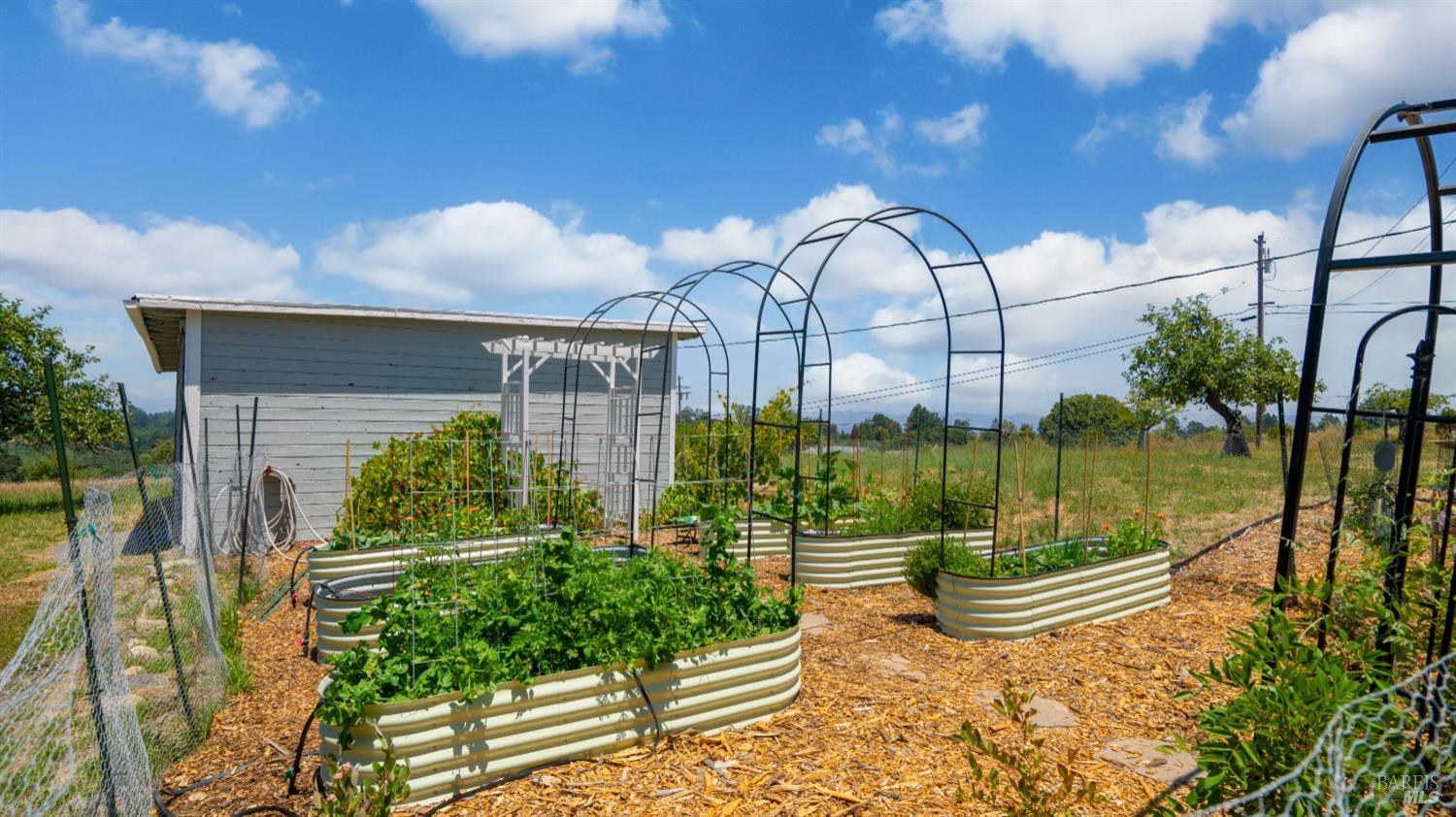 1850 Blucher Valley Road