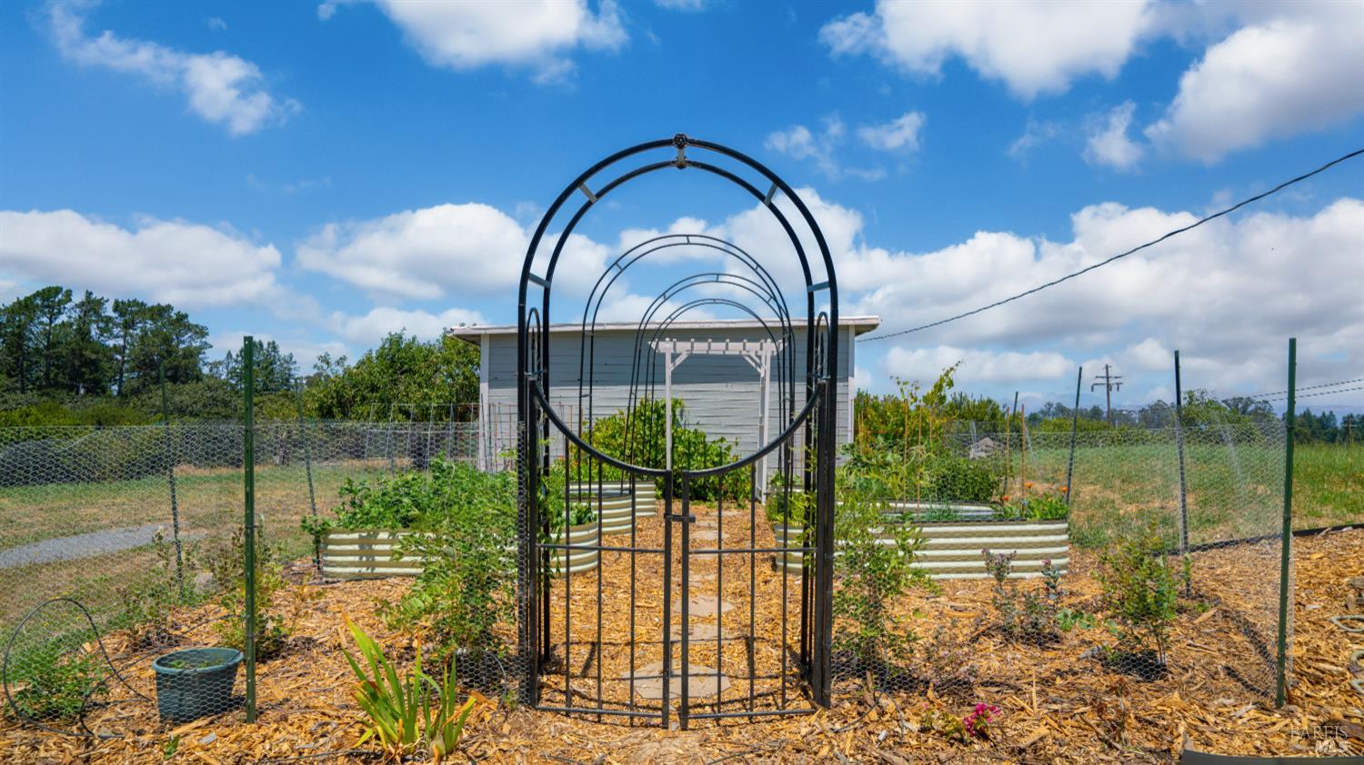 1850 Blucher Valley Road