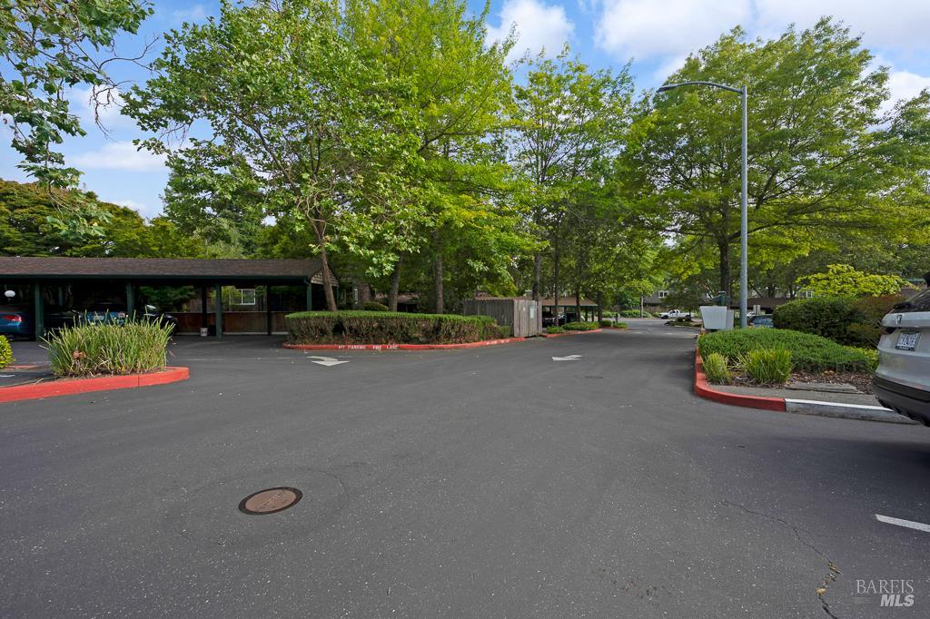 29 Pine Tree Cir