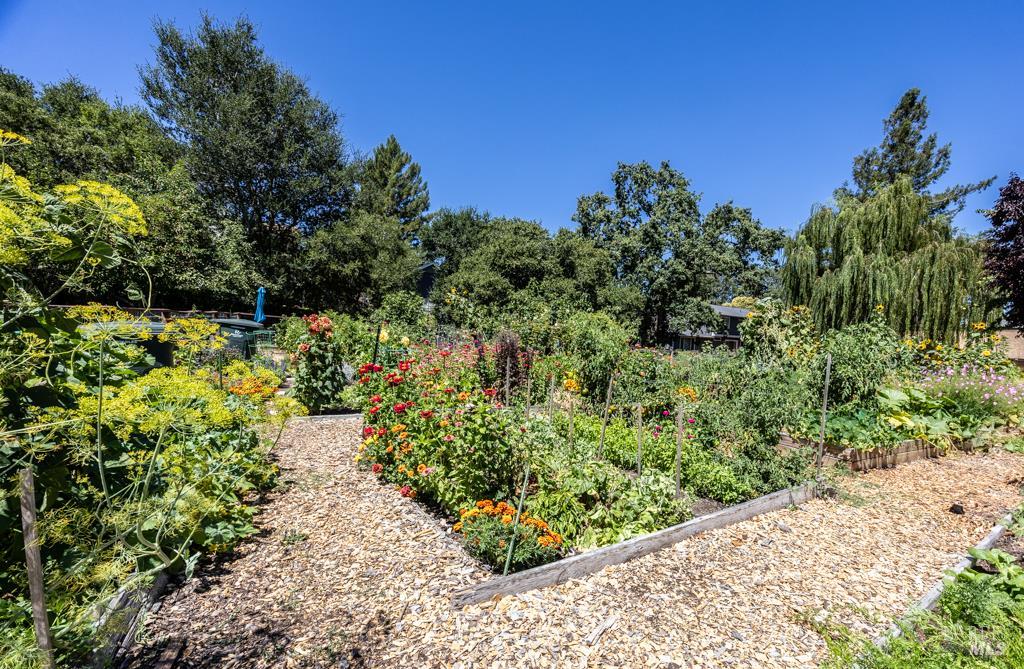 2361 Morningside Cir