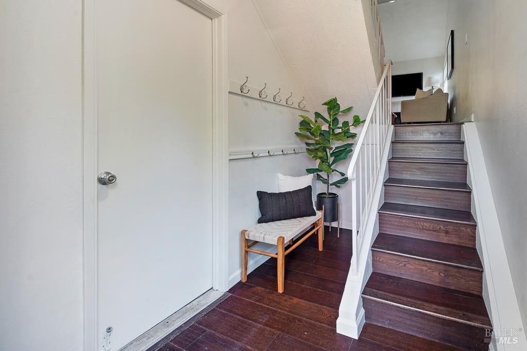 3111 Luna Ct