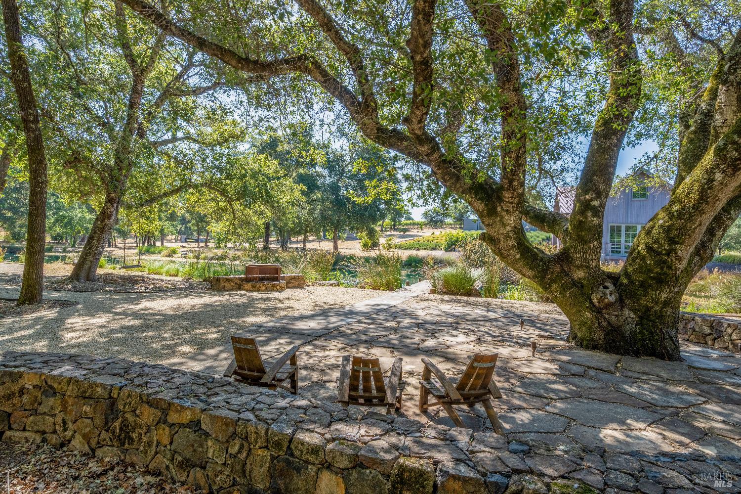 3533 State Highway 128