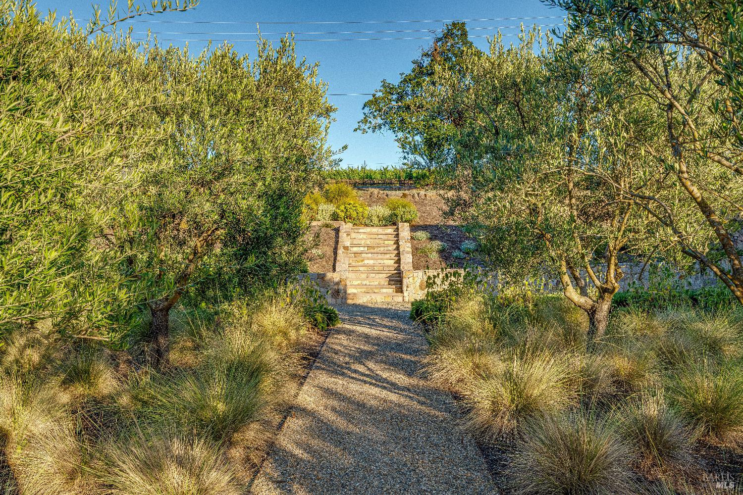 3533 State Highway 128