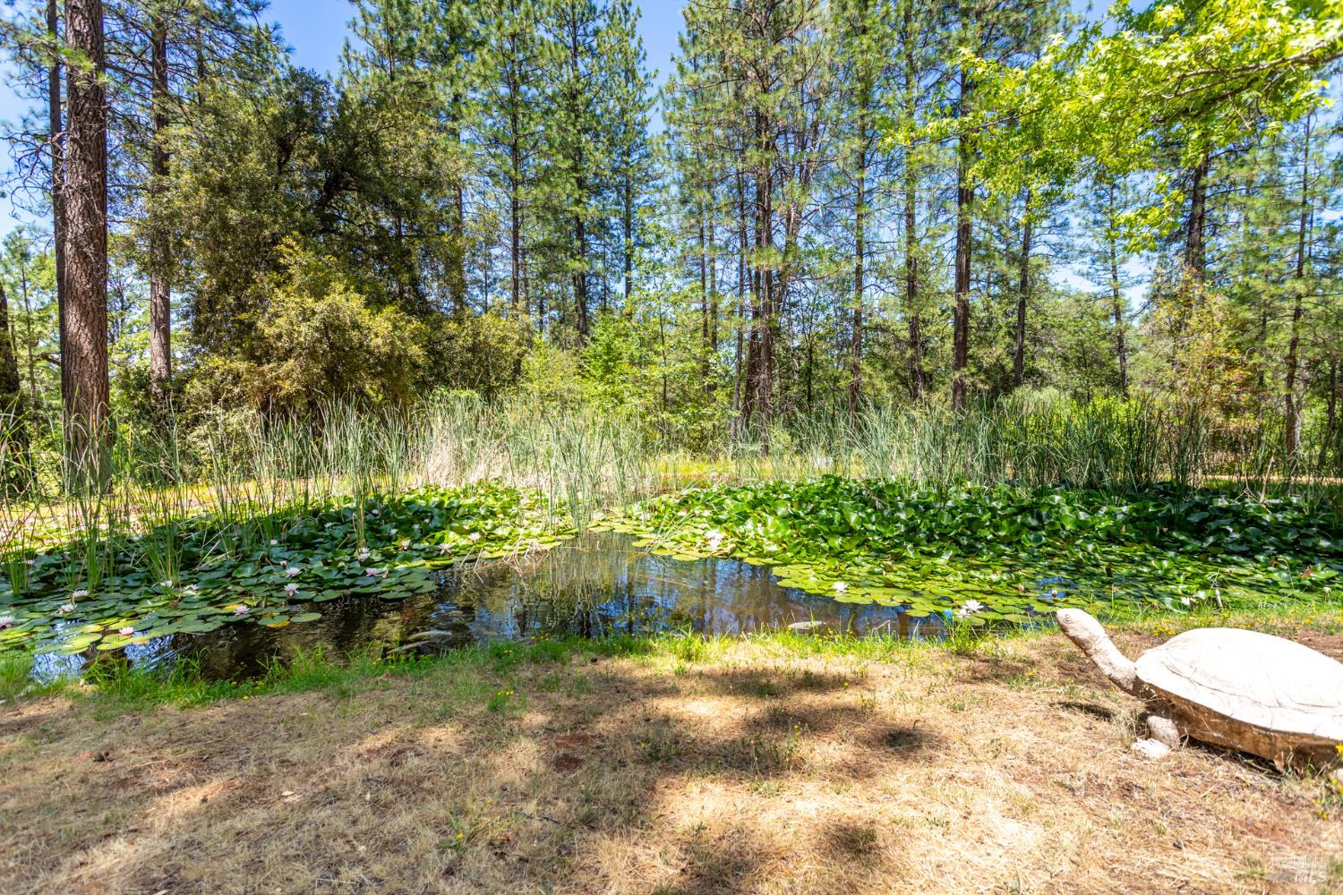 7722 Hidden Creek Ln
