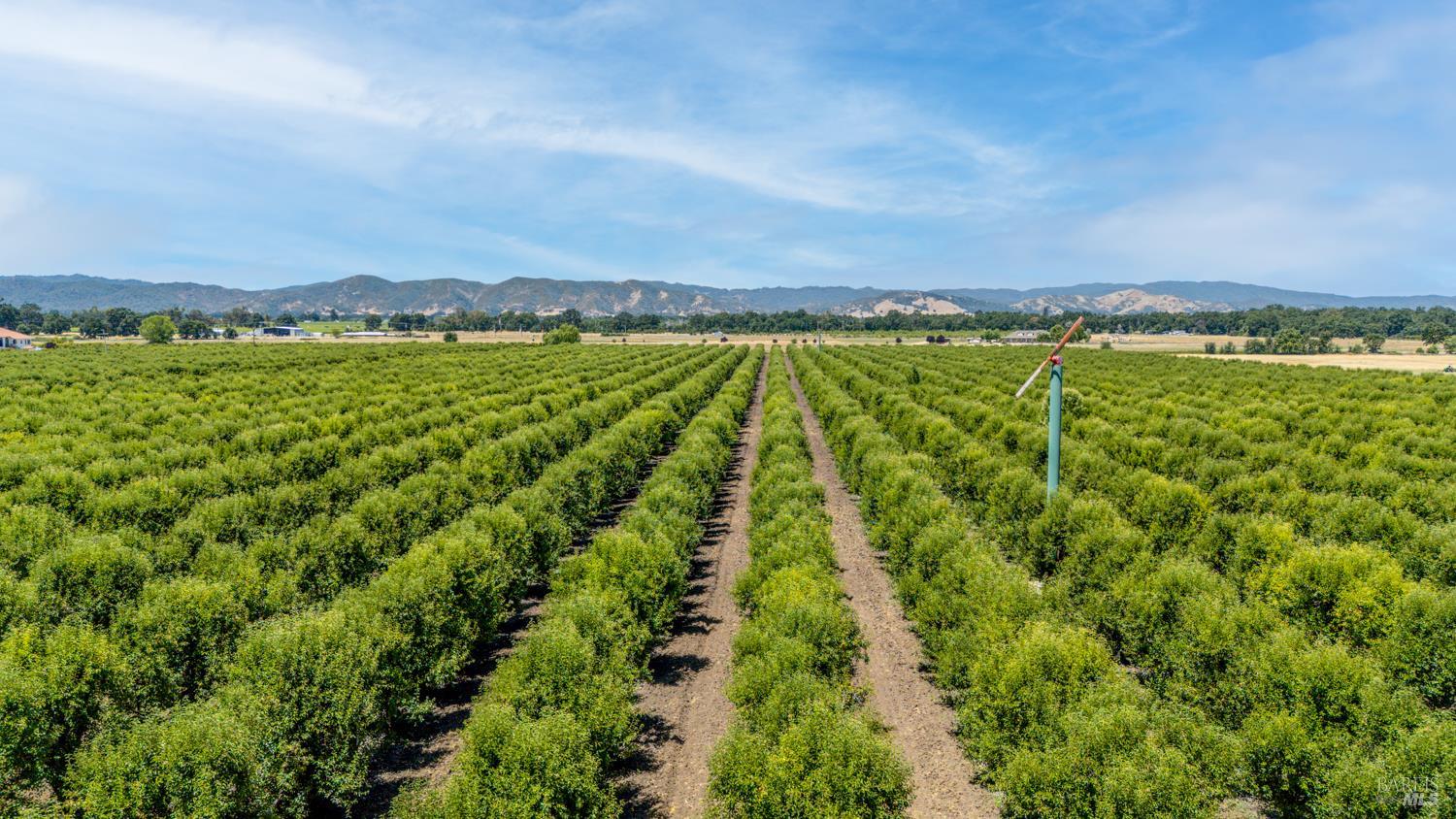 4215 Finley East Road