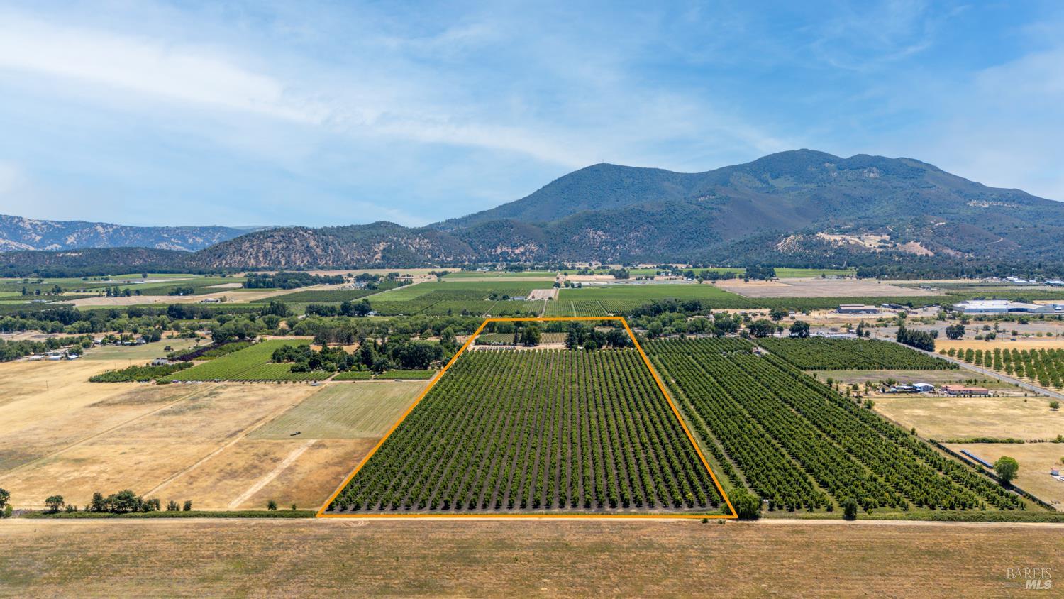 4215 Finley East Road