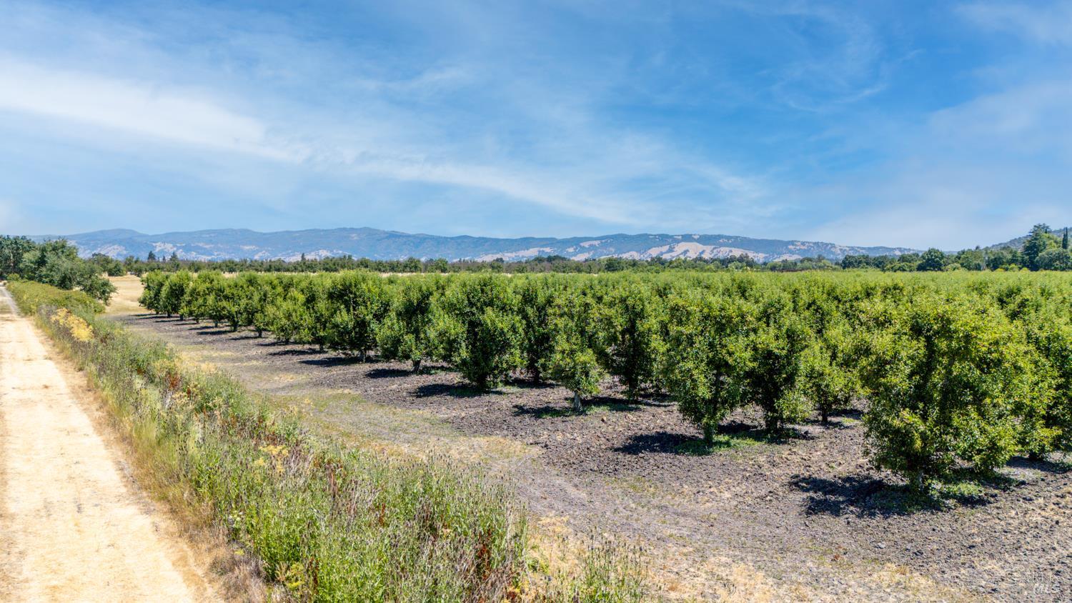 4215 Finley East Road