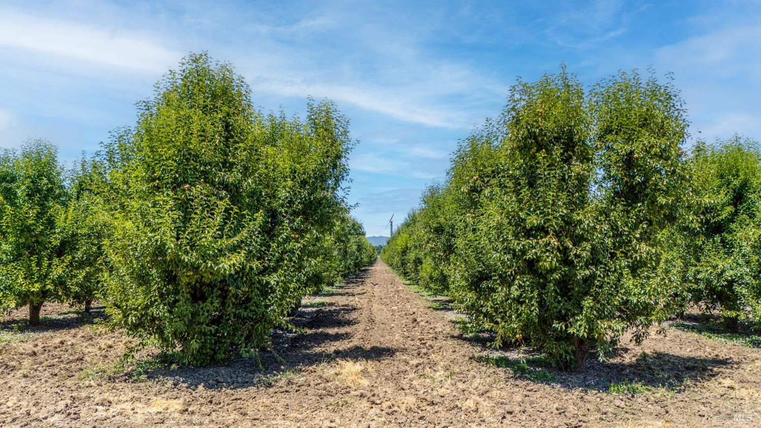 4215 Finley East Road