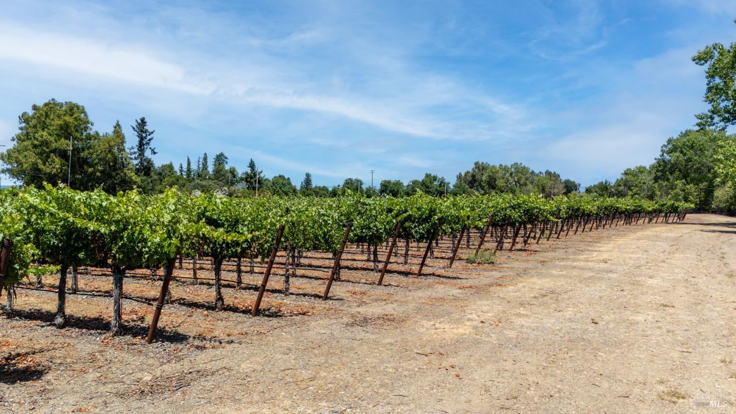 4215 Finley East Road