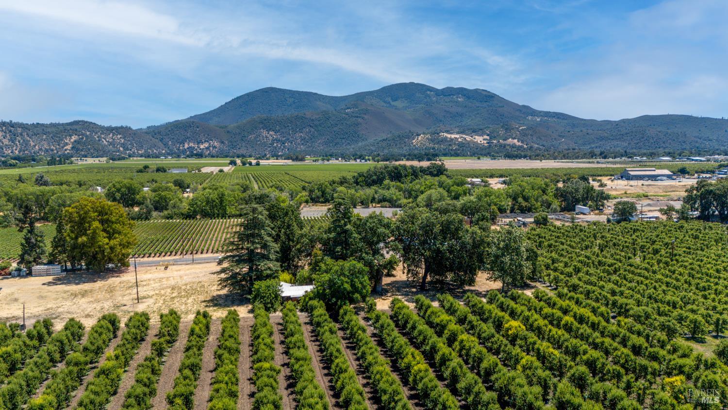 4215 Finley East Road