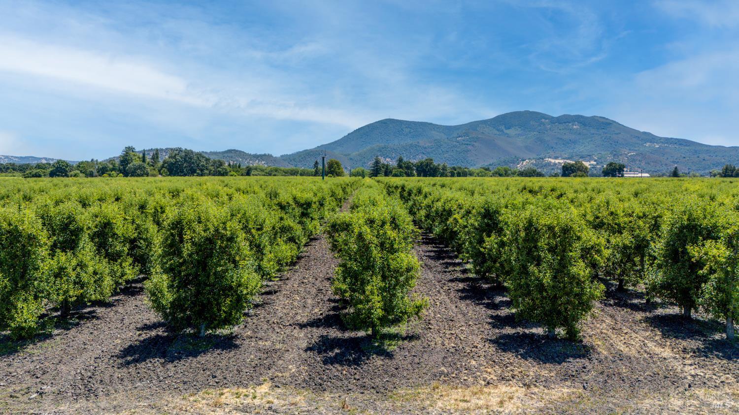 4215 Finley East Road