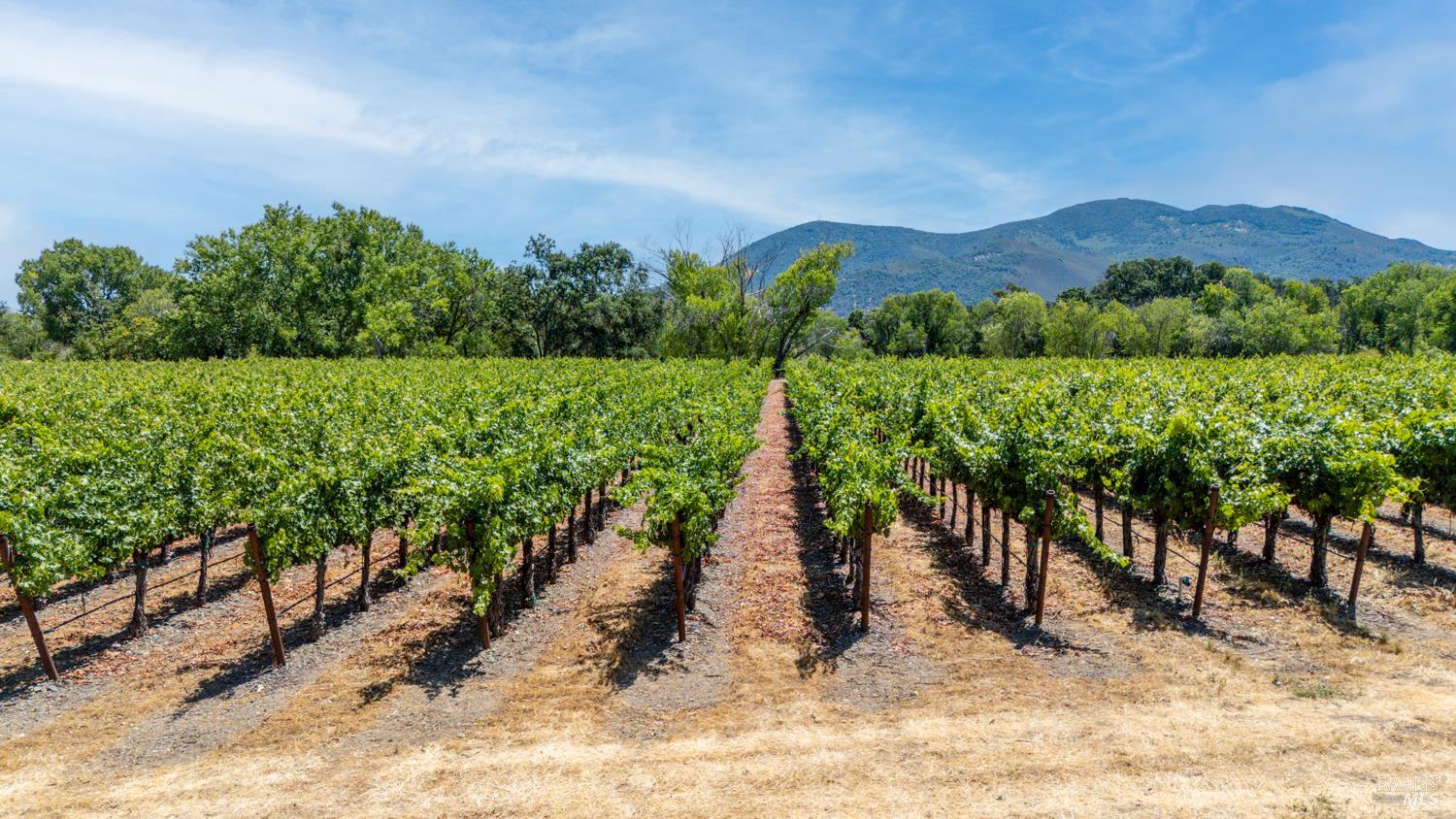 4215 Finley East Road